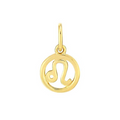 • Stellar Paths • Zodiac • Astrology Charm