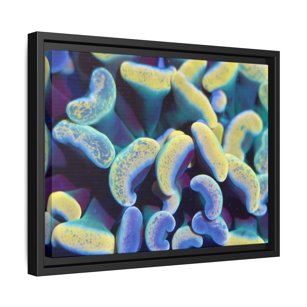 Customizable Vibrant Framed Matte Canvas Print, Modern Aesthetic