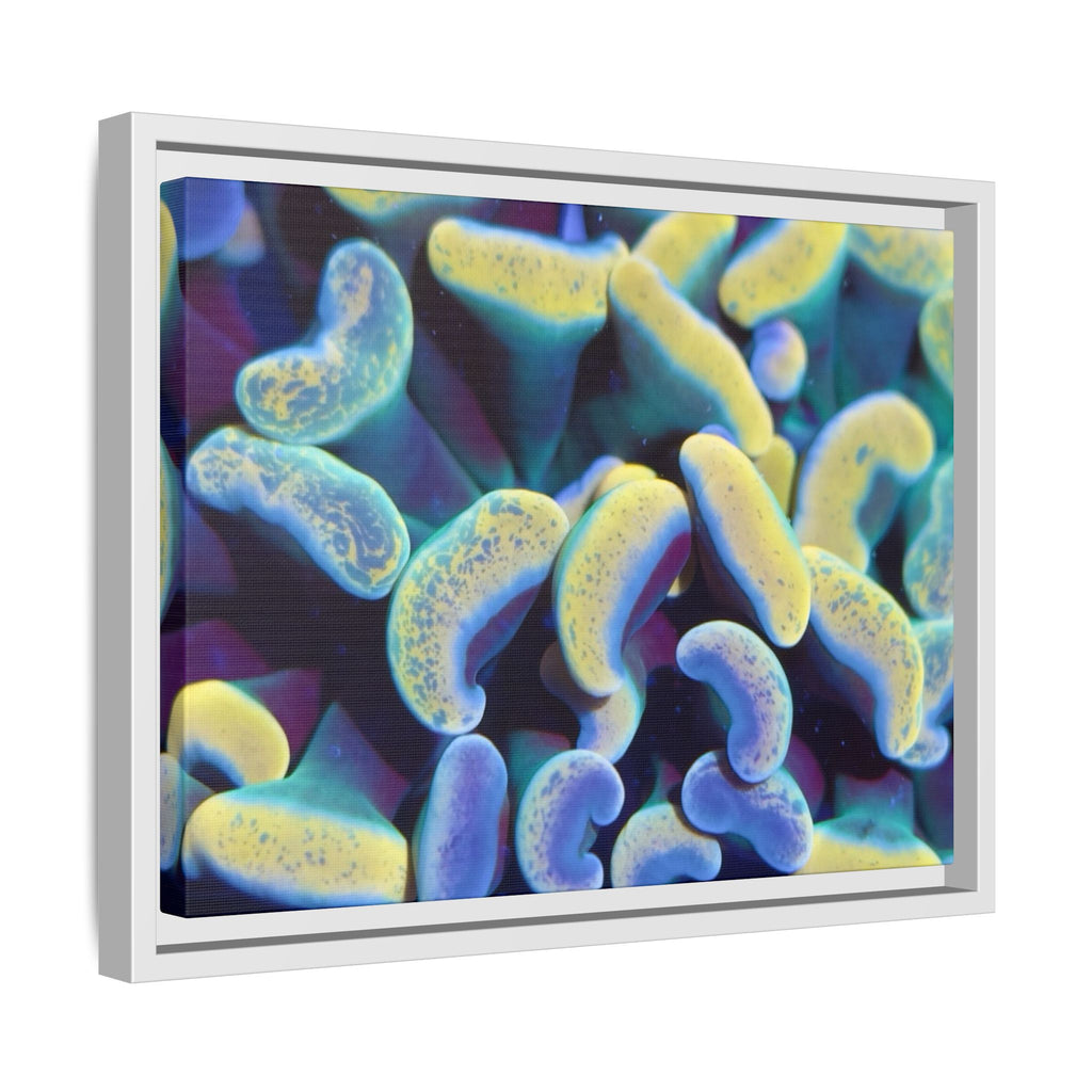 Customizable Vibrant Framed Matte Canvas Print, Modern Aesthetic