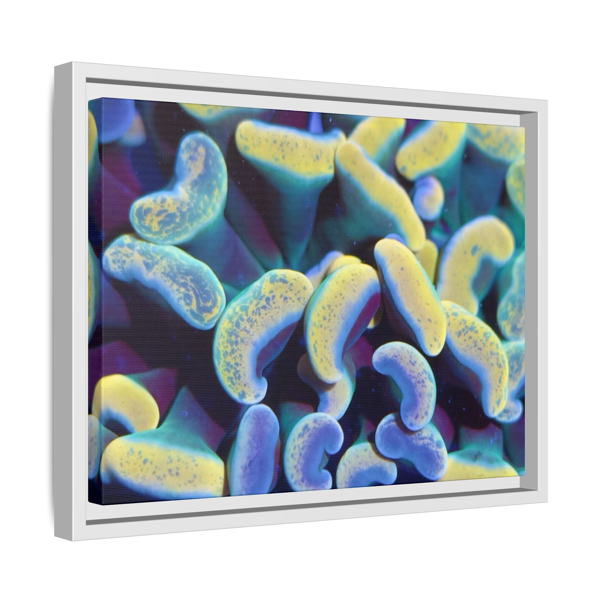 Customizable Vibrant Framed Matte Canvas Print, Modern Aesthetic