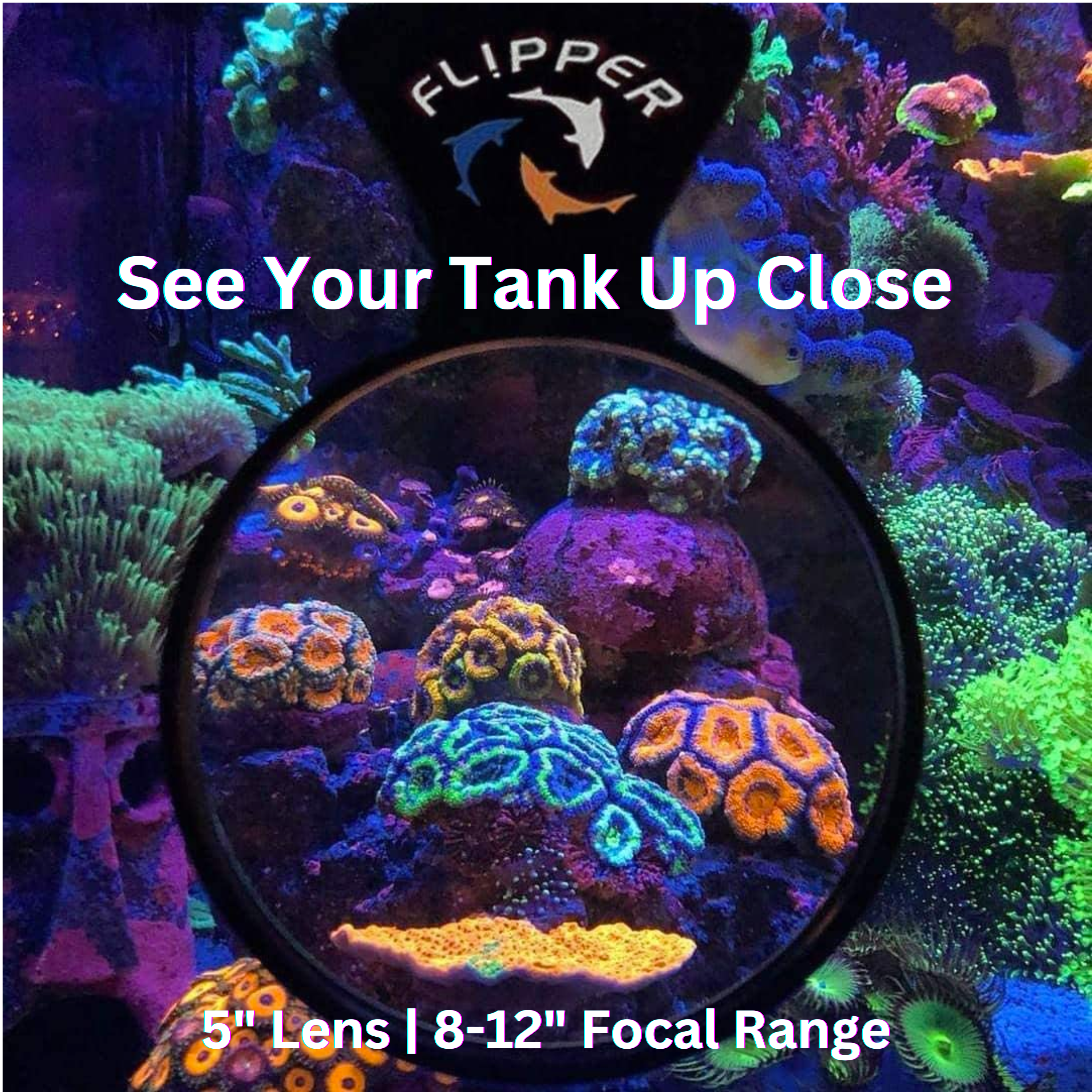 Flipper DeepSee Viewer Black Max 5"