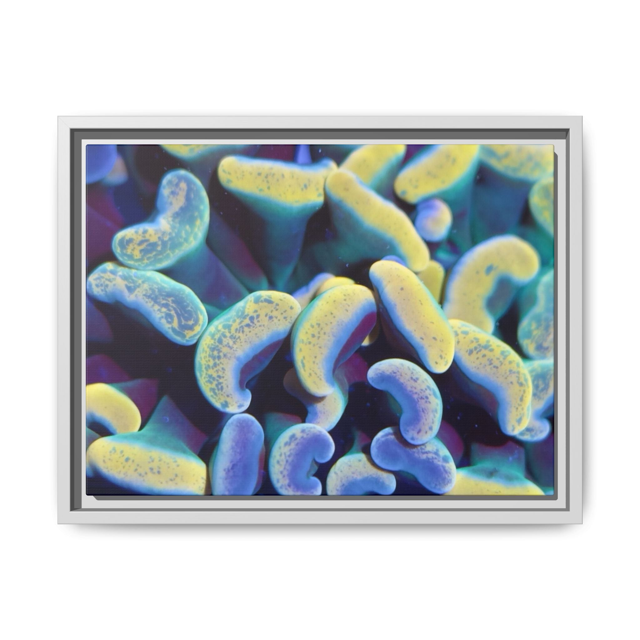 Customizable Vibrant Framed Matte Canvas Print, Modern Aesthetic