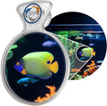 Flipper DeepSee Viewer Clear Max 5"
