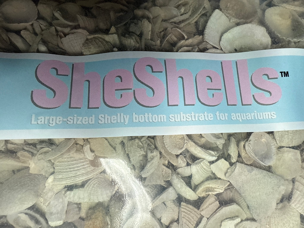 She Shells Substrate Gravel Decorations