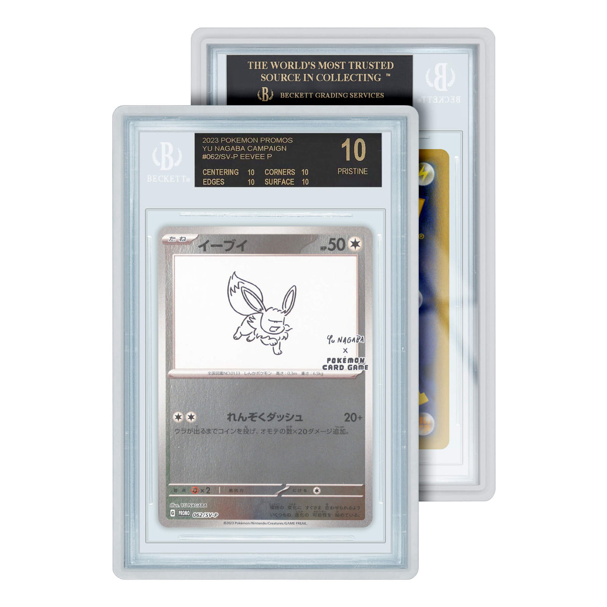 BGS Graded Guard Standard Case