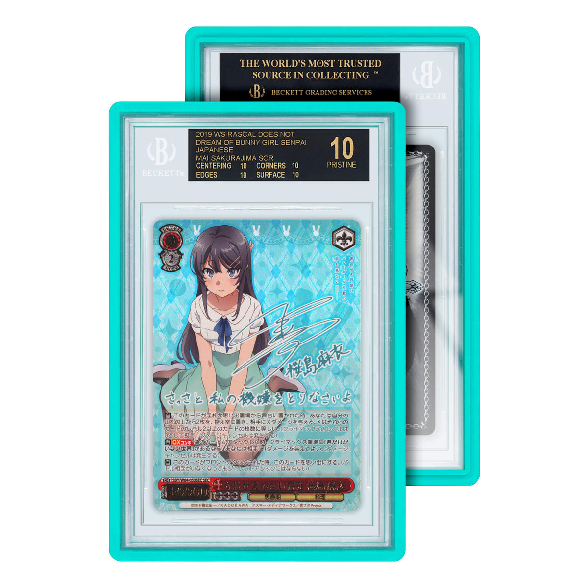 BGS Graded Guard Standard Case
