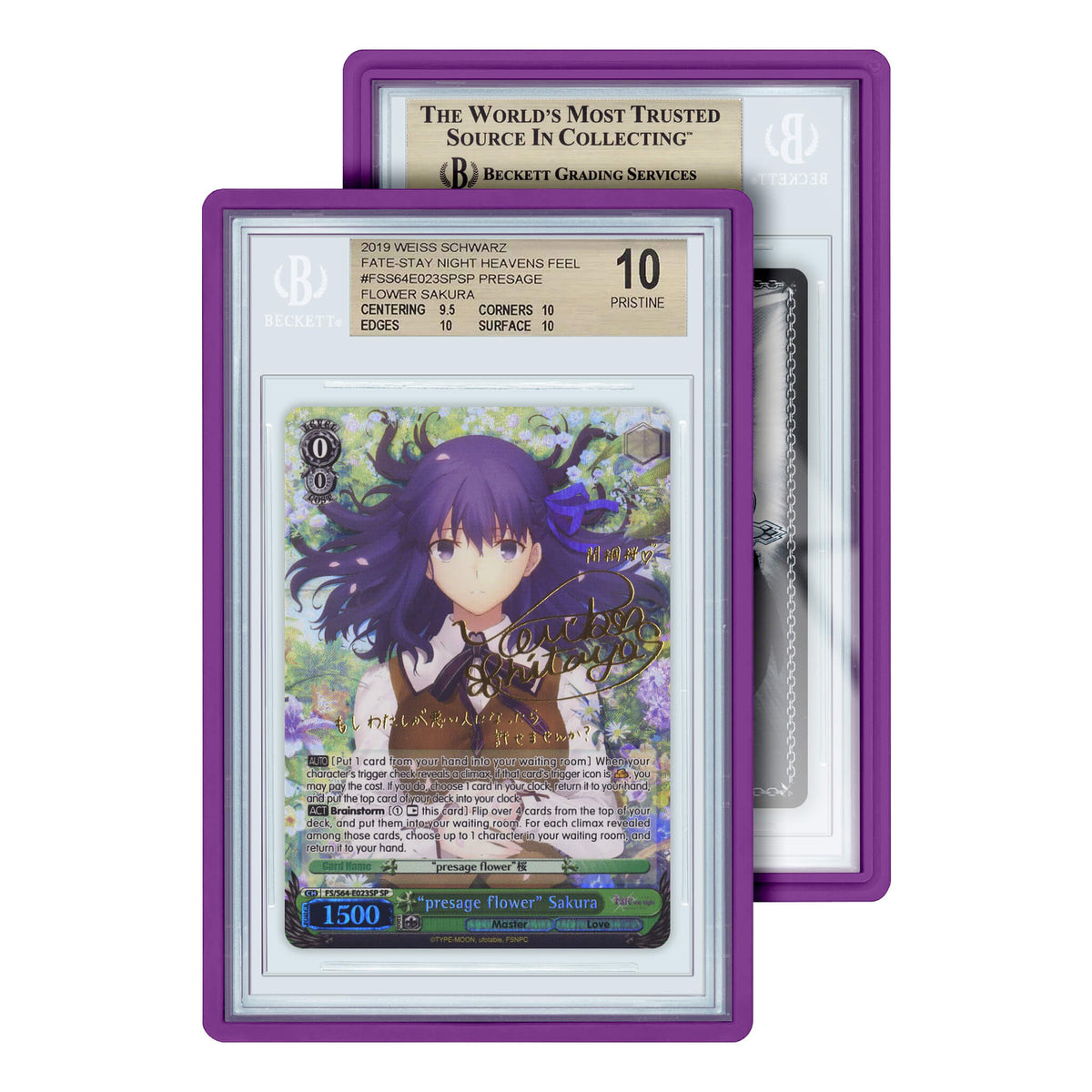 BGS Graded Guard Standard Case