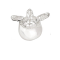 Baby Hatchling Sea Turtle