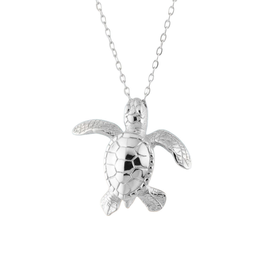 Baby Turtle Hatchling
