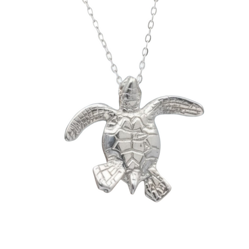 Baby Turtle Hatchling