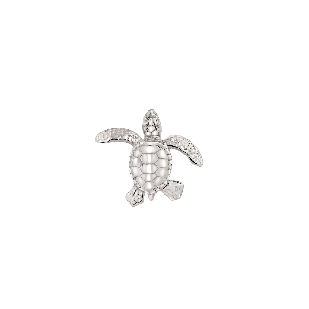 Baby Turtle Hatchling