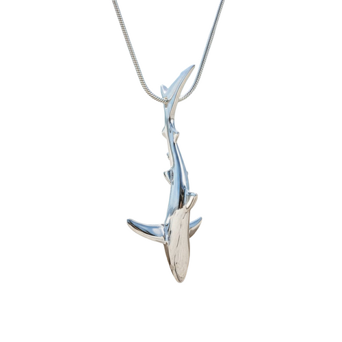 Blue Shark