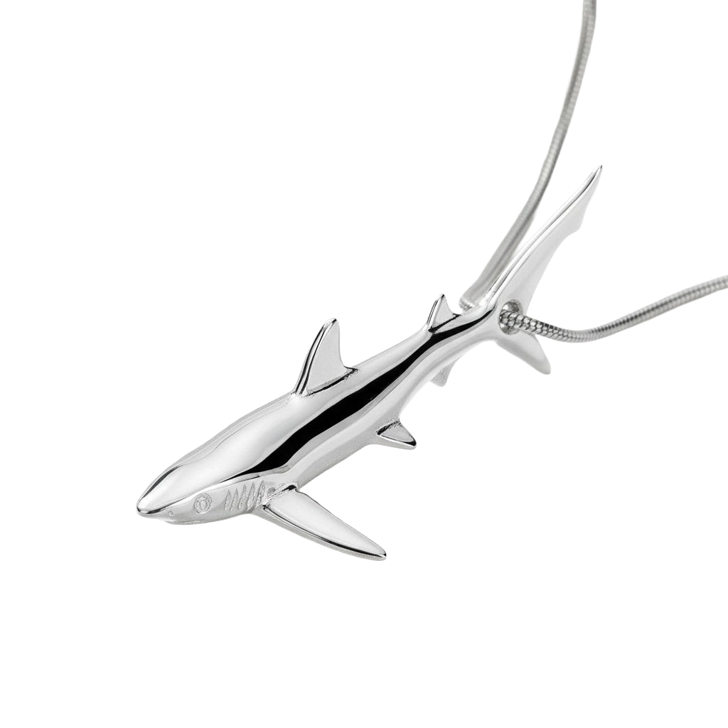 Blue Shark