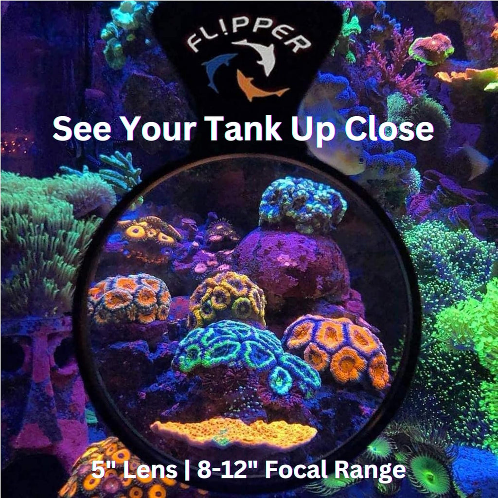 Flipper DeepSee Viewer Black Max 5" Orange Filter