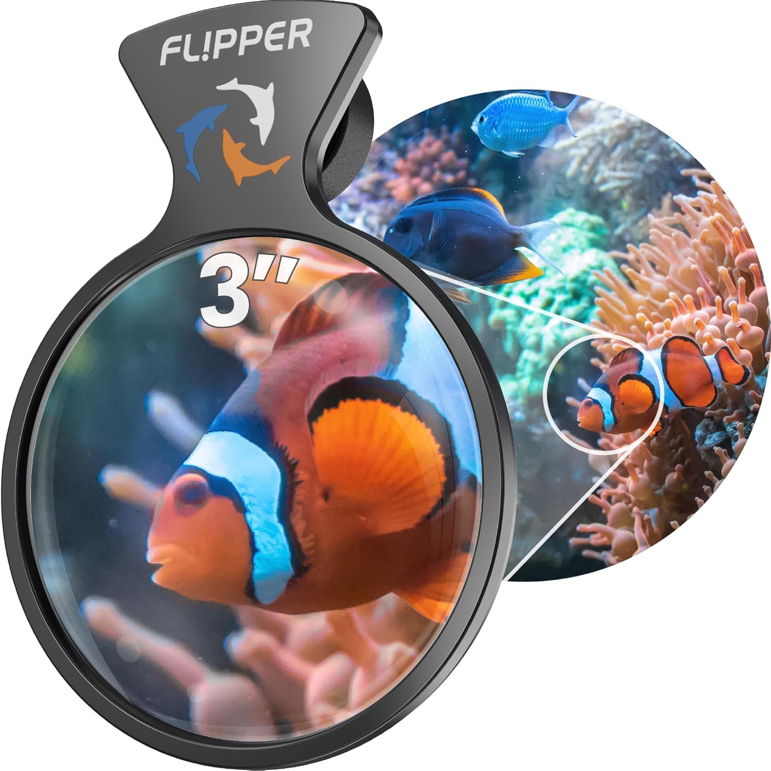 DeepSee Viewer Black Nano 3