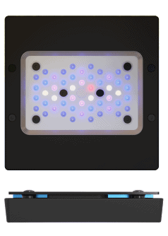 Radion XR15 G6 LED Light Fixture