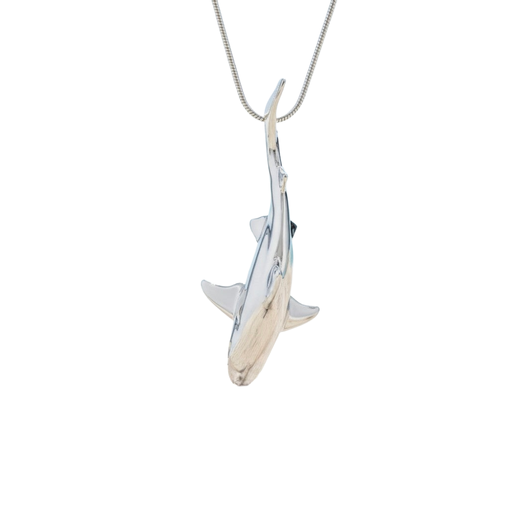 Grey Reef Shark
