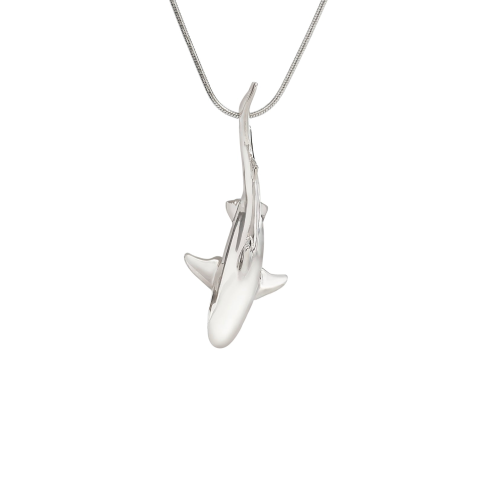 Grey Reef Shark