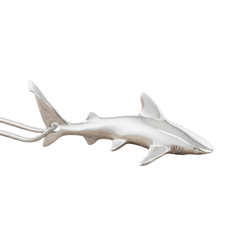 Grey Reef Shark