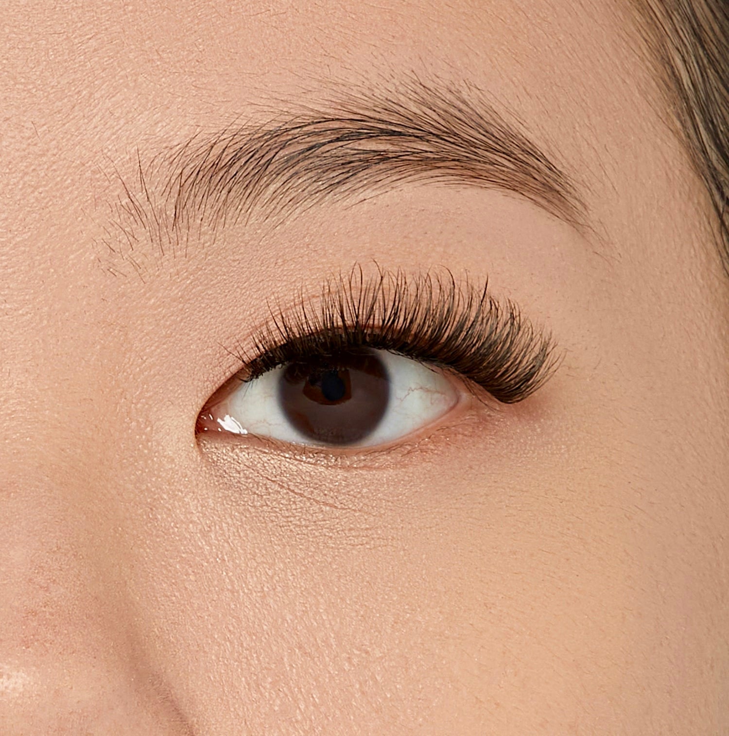Close-up of a person's eye wearing long, dark, curled eyelashes and a neatly shaped eyebrow.