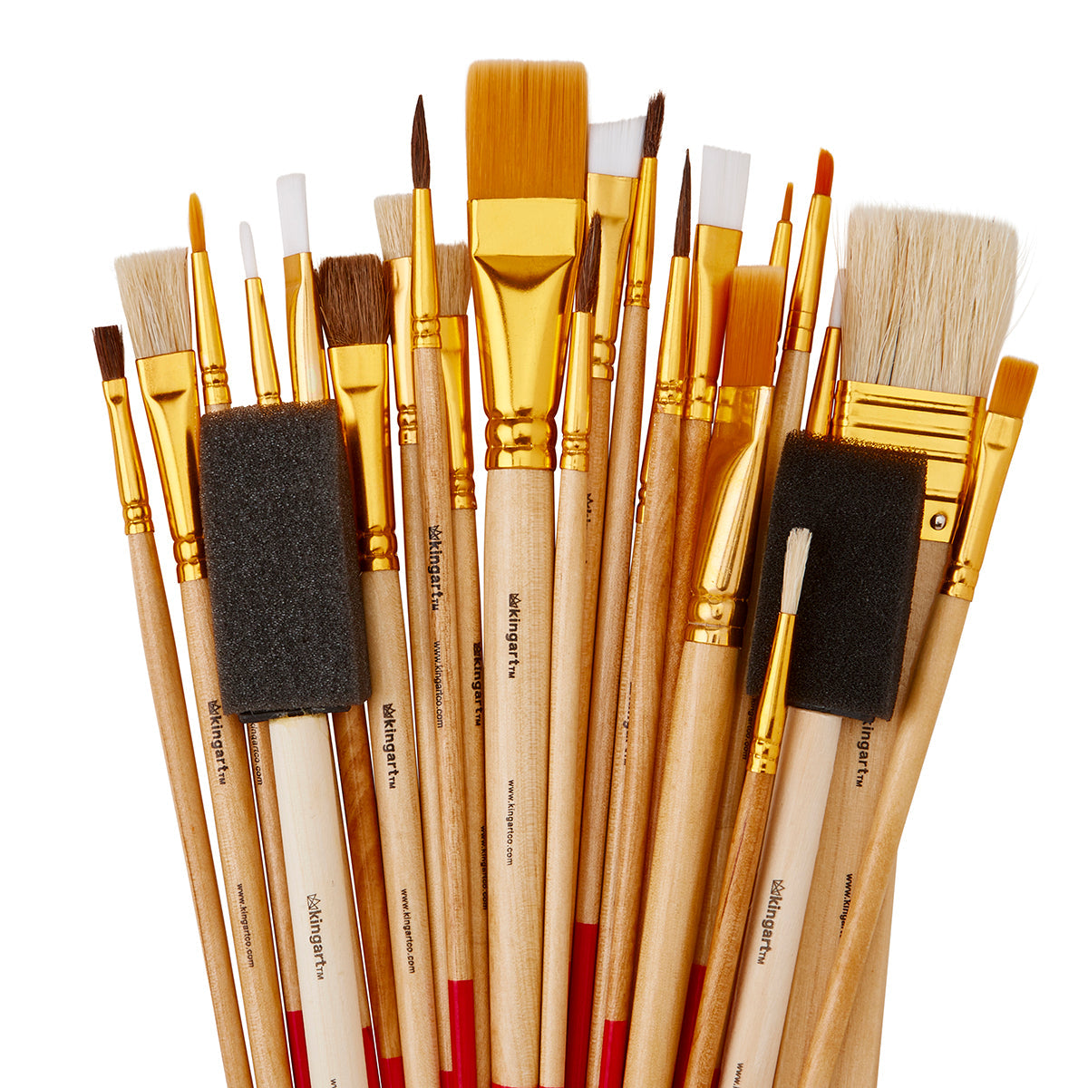Set of paintbrushes with 25 styles and bristle types on a white background