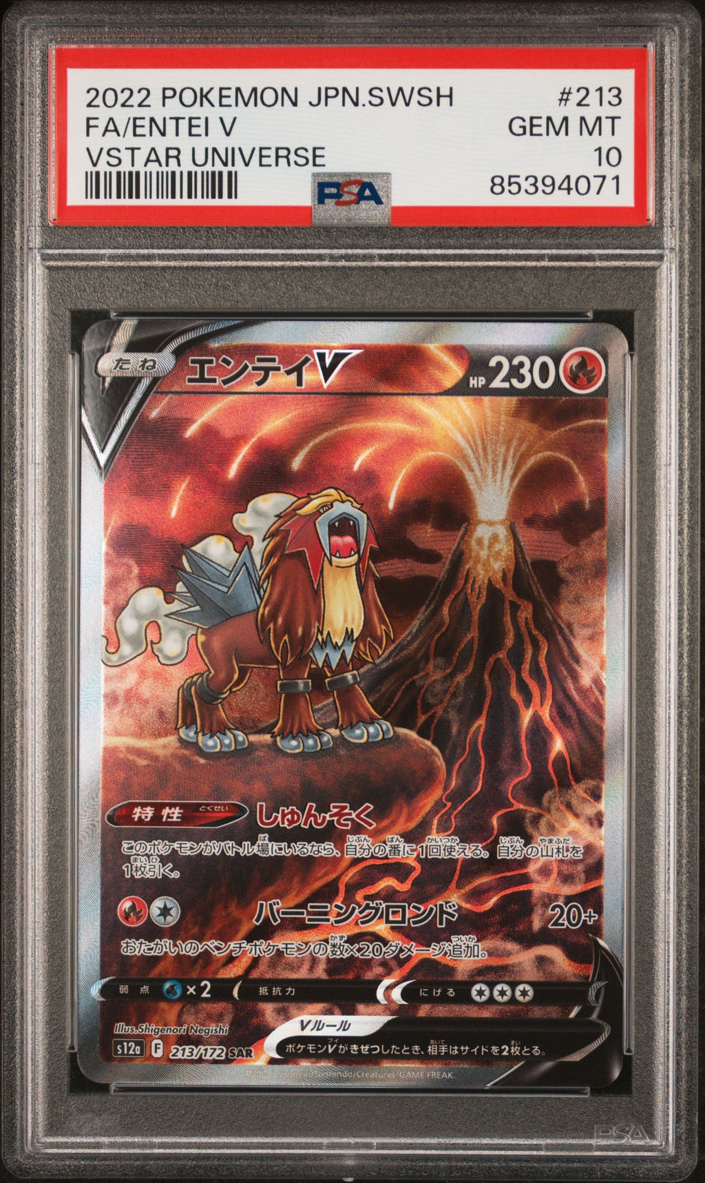 PSA 10 2022 Pokémon TCG Full Art Entei V #213 VSTAR Universe Japanese