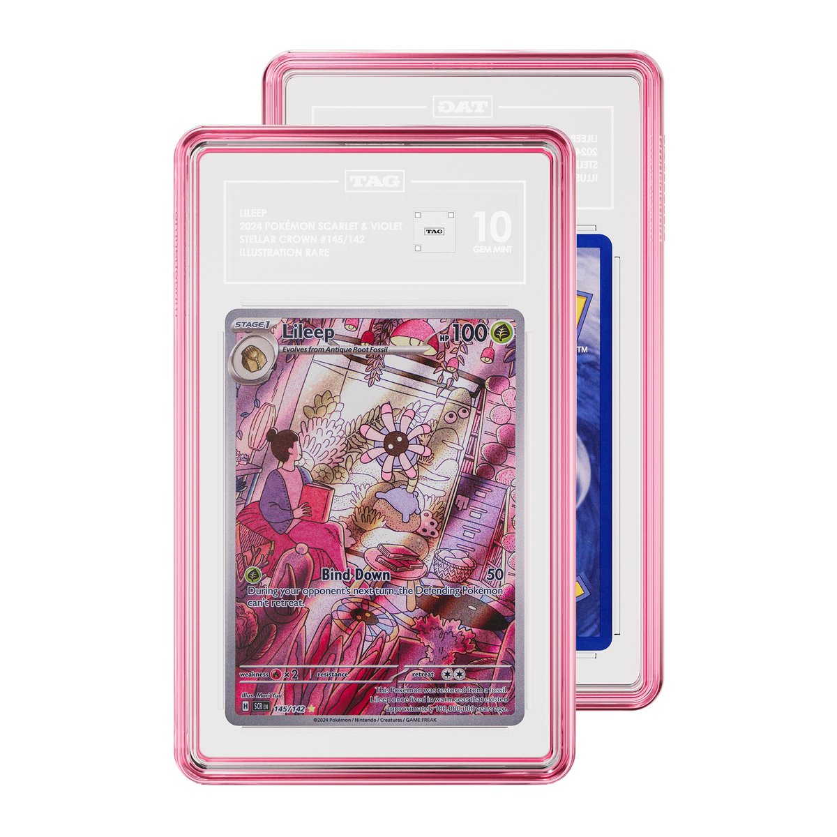 TAG graded Pokémon TCG card in Pink Quartz Colored protective case, with the front card showing graded Pokemon Lileep 145 Illustration Rare 2024 Stellar Crown expansion with a 10/10 grading label 10 and and a partial view of the Rear of card while a partial view of the rear of the card is visible