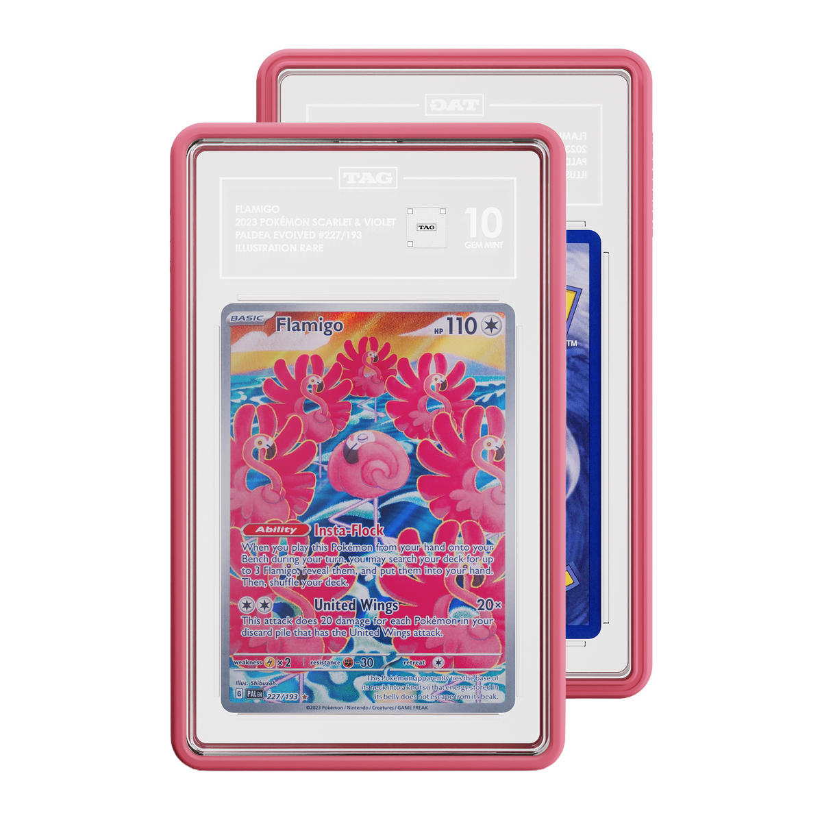 TAG graded Pokémon TCG card in Pink protective case, with the front card showing 2023 Paldea Evolved Flamigo card graded 10 and and a partial view of the Rear of card.