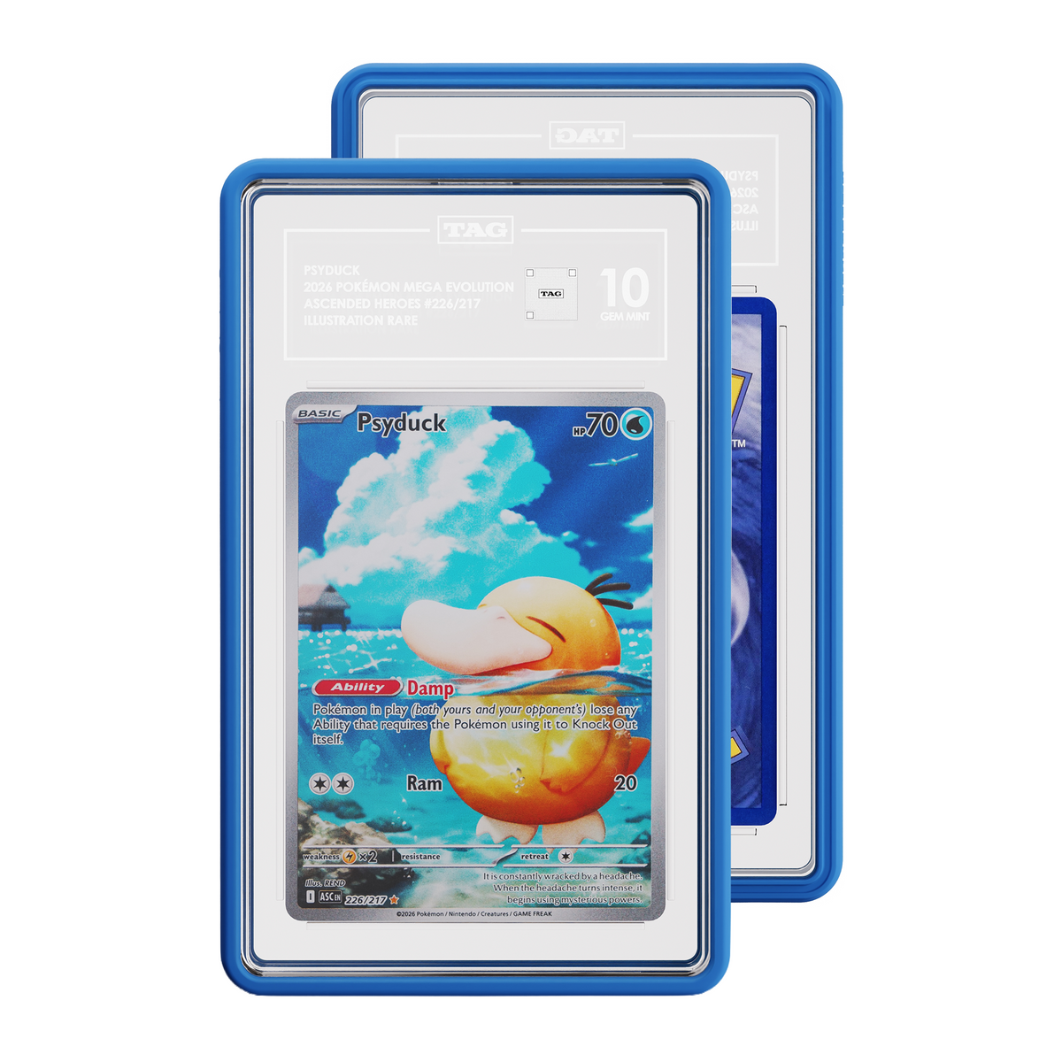 TAG graded Pokémon TCG card in Royal Blue protective case, with the front card showing Ascended Heroes Psyduck card graded 10 and and a partial view of the Rear of card.