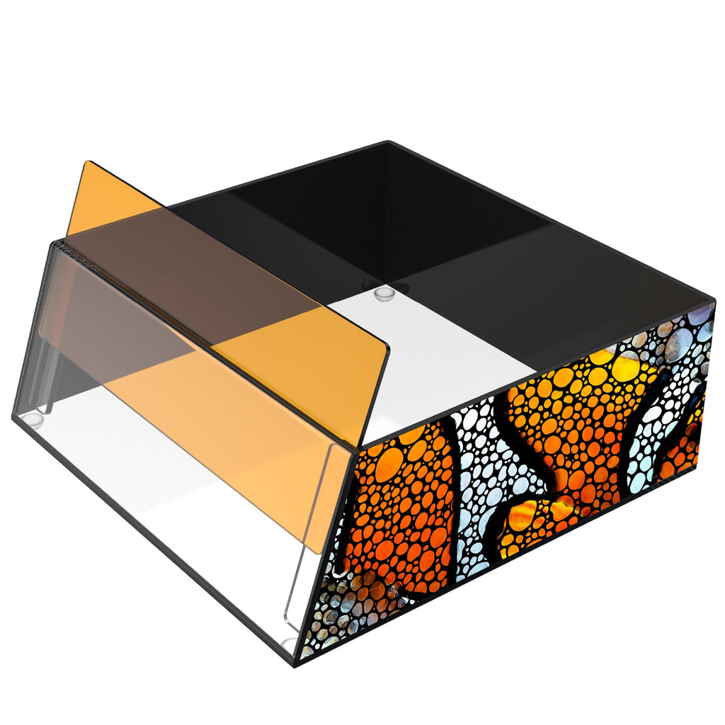 Flipper Top Down Viewer Clownfish 8" panel