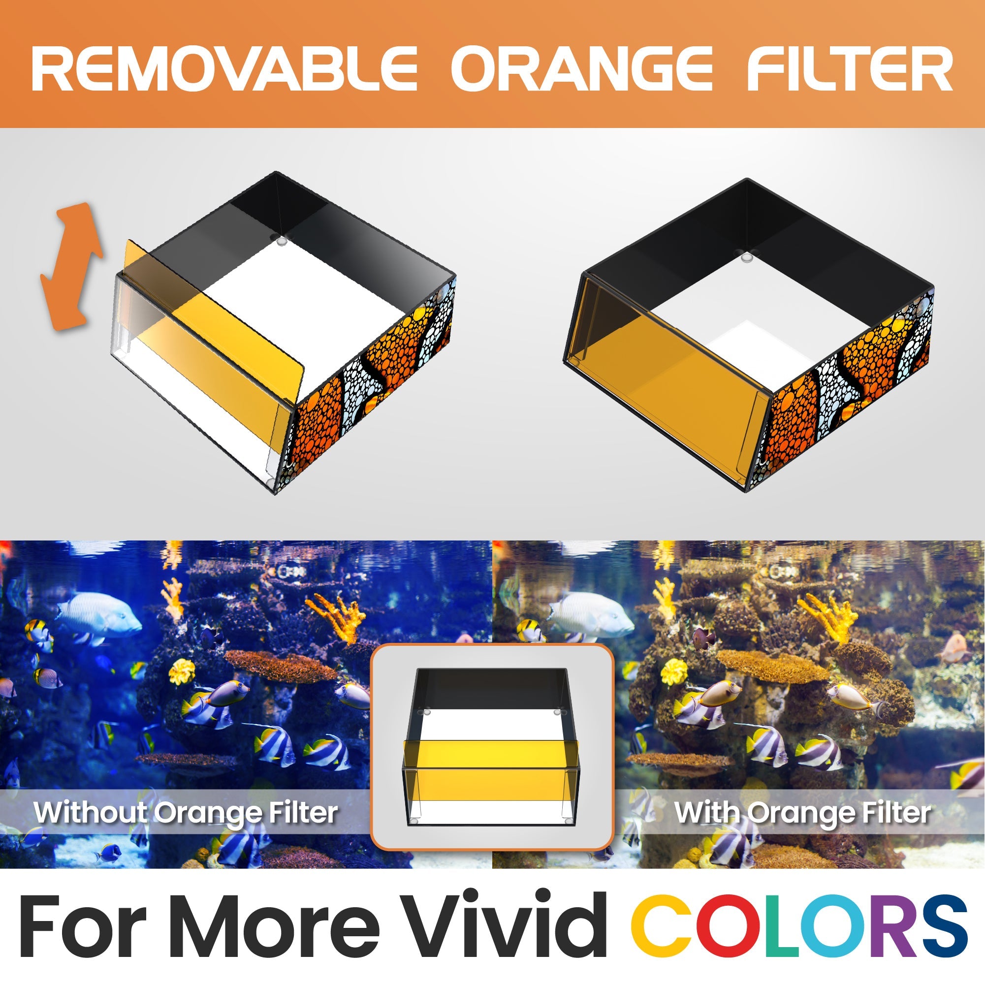 Flipper Top Down Viewer Clownfish 8" panel