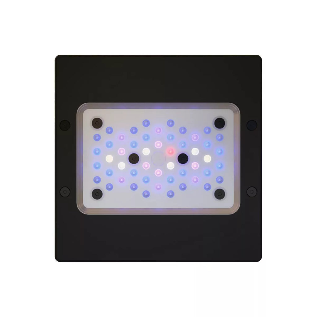 Radion XR15 G6 LED Light Fixture