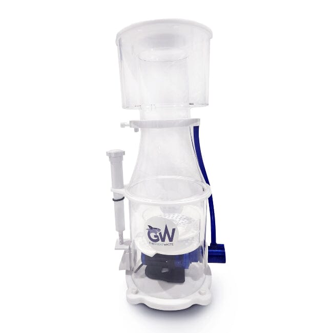 Great White Skimmer DC