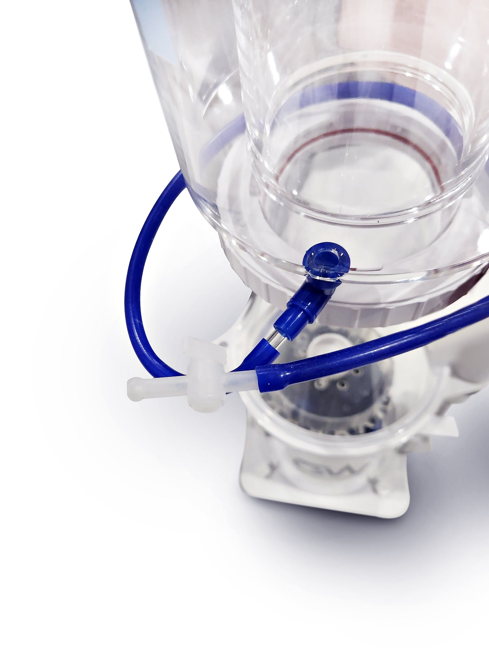 Great White Skimmer DC