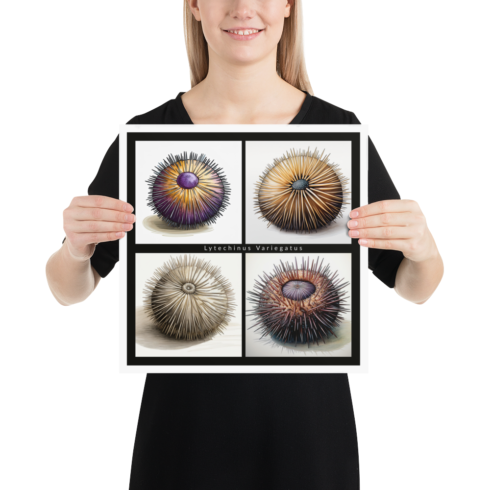 Echinoderm “Urchin Medley” Salad Poster Semi-Matte Poster Paper